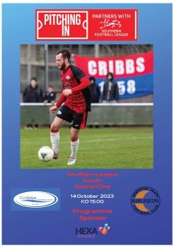 Cribbs FC v Bemerton Heath Harlequins 141023