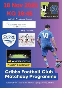Cribbs FC v Roman Glass St George 181125