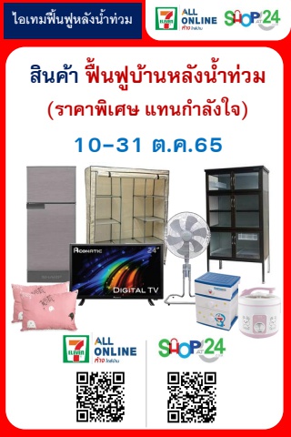 สินค้าฟื้นฟูบ้าน หลังน้ำท่วม 10-31 ต