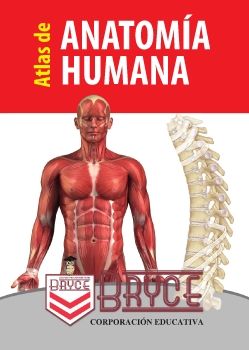 ATLAS DE ANATOMIA HUMANA - BRYCE