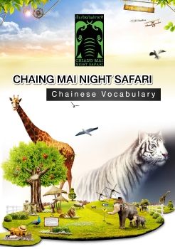 Chaing mai night
