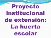 Proyecto institucional de extensión_Neat