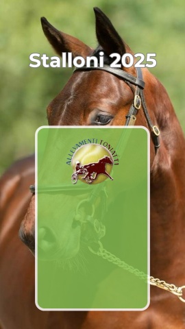 Stalloni All.Toniatti - Twister Bi