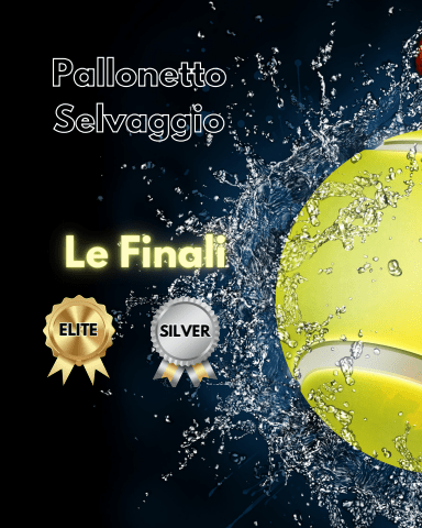 Pallonetto Selvaggio - Le Finali