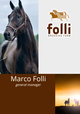 Marco Folli - Business Card