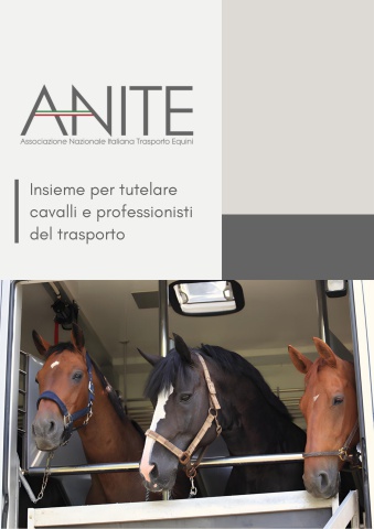 Brochure Anite Fieracavalli 2024