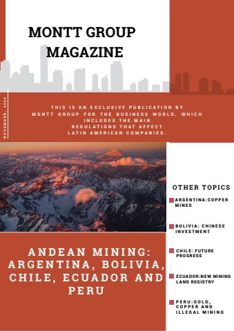 INGLES, REVISTA MONTT GROUP NOV 2025