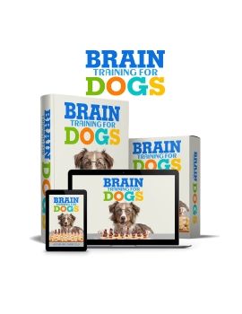 Brain Training For Dogs PDF Book Adrienne Farricelli Download (Free Preview Available)