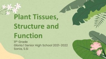 Plant Tissues, Structure and Function