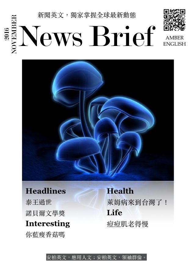 11月新聞月刊安柏 