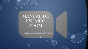 MANUAL DE USUARIO ZOOM