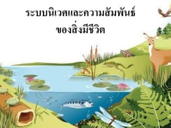 ระบบนิเวศและความสัมพันธ์ของสิ่งมีชีวิต