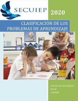 CLASIFICACIÓN DE LOS PROBLEMAS DE APRENDIZAJE