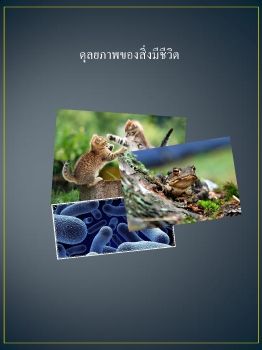 ดุลยภาพของสิ่งมีชีวิต