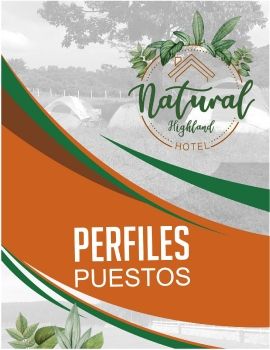 PERFIL DE PUESTOS HIGHLAND