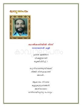 balcony narayanankutty