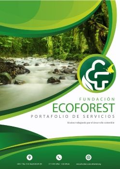 PORTAFOLIO ECOFOREST 2020