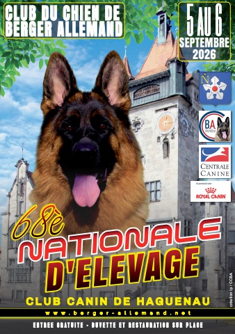 Catalogue NE 2026 alain définitif