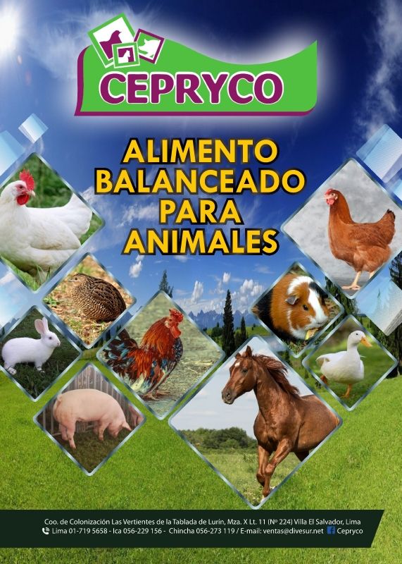 catalogo virtuals ceprycoby abraham.cdr