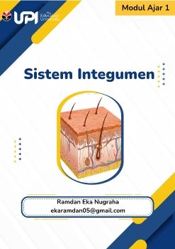 E- Modul Sistem Integumen