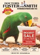 Drs Foster Smith Summer Bird