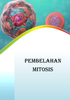 Pembelahan Mitosis