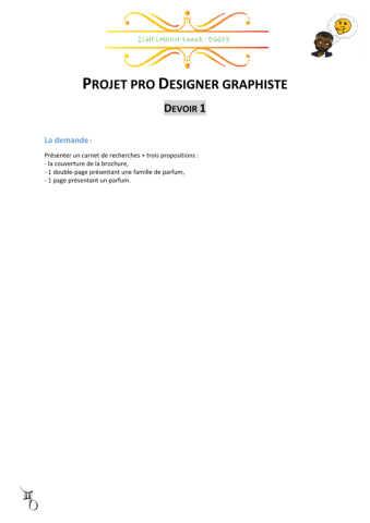 Devoir 1 Designer graphiste projet pro