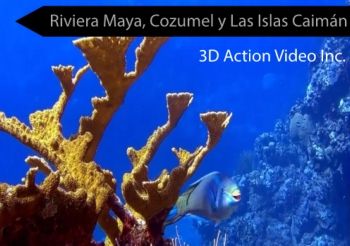 Espanol Producto: Los Tres Grandes Boniare, Los Islas Caimans, Riviera Maya y Cozumel