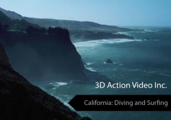 California Diving and Surfing