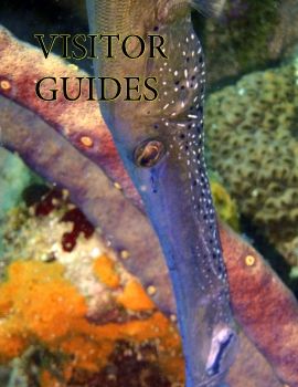 Visitor Guides