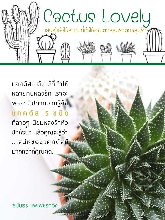 Cactus Lovely