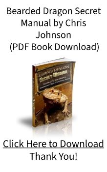 Bearded Dragon Secret Manual PDF Ebook by Chris Johnson