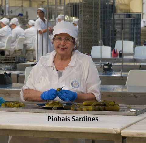 PinhaisSardines