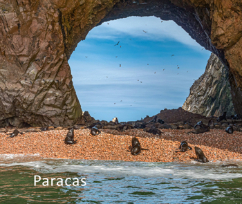 Paracas Peru