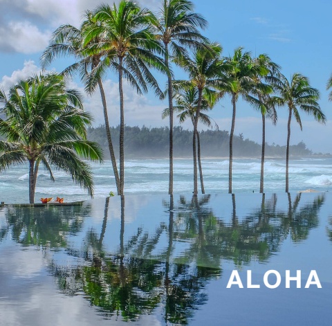 Aloha