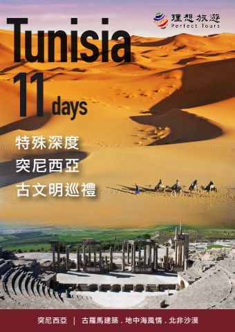 突尼西亞11天