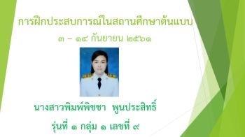 พิมพ์พิชชา  พูนประสิทธิ์