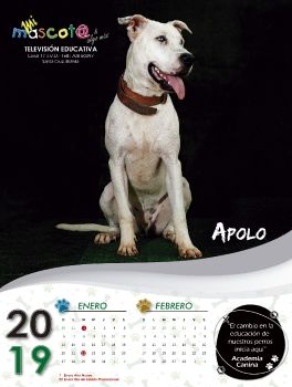 calendario