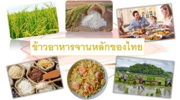 ชลธิชา  คงกล้า 61