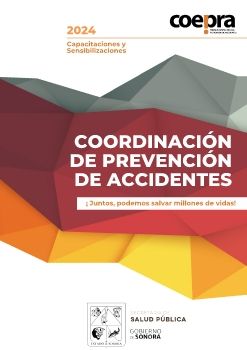 Dossier cursos Prevaccidentes Sonora 2024