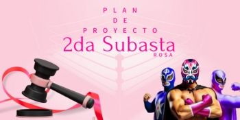 PLAN DE PROYECTO SUBASTA ROSA 2024