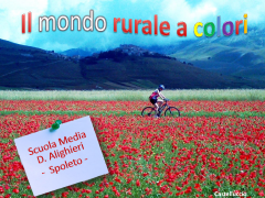 IL MONDO RURALE A COLORI - 1A