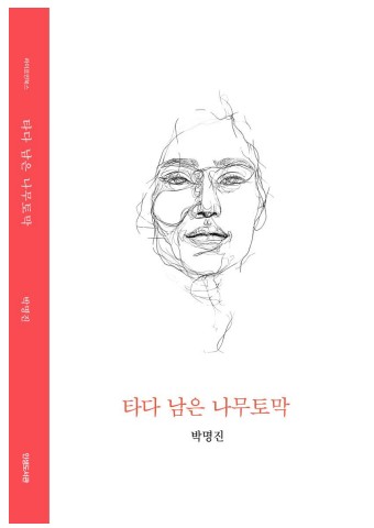 타다남은나무토막ebook