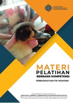 mbak nia