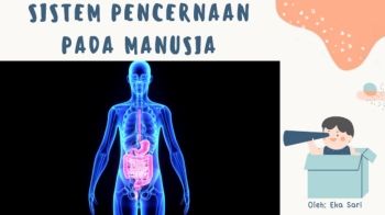 Presentasi Pelajaran Bahasa Indonesia Ilustratif dan Menyenangkan