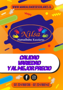 nilsa catalogo 2020