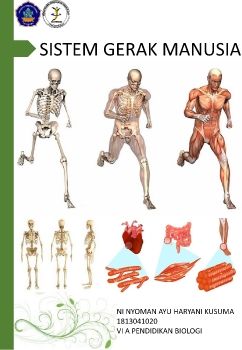 Sistem Skeletal