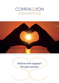 Compassion Understood - Advice 