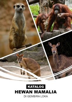 Ekatalog Hewan Mamalia