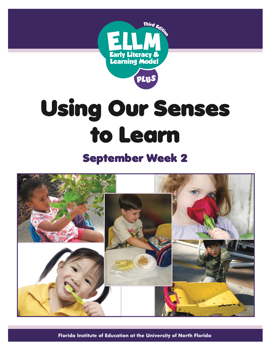 Using Our Senses To Learn